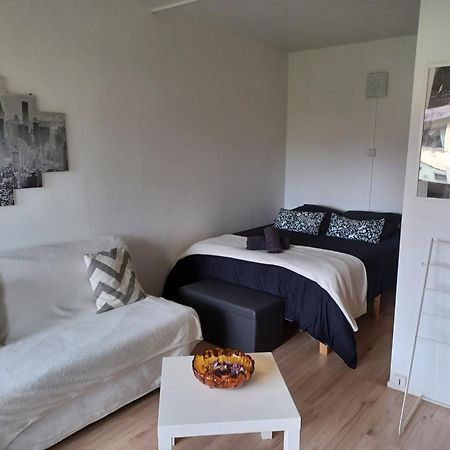 Apartamento Lumineux 1 pièce avec parking fermé et arrêt de tram à 100 m Mulhouse Exterior foto