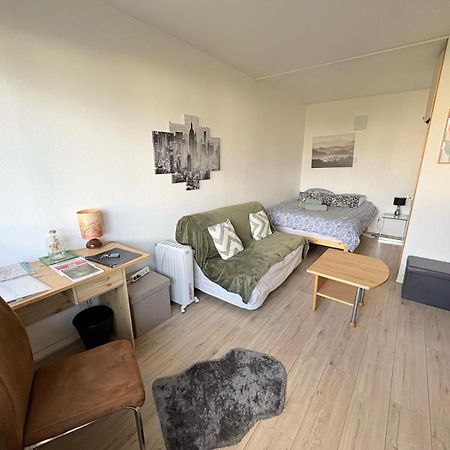 Apartamento Lumineux 1 pièce avec parking fermé et arrêt de tram à 100 m Mulhouse Exterior foto