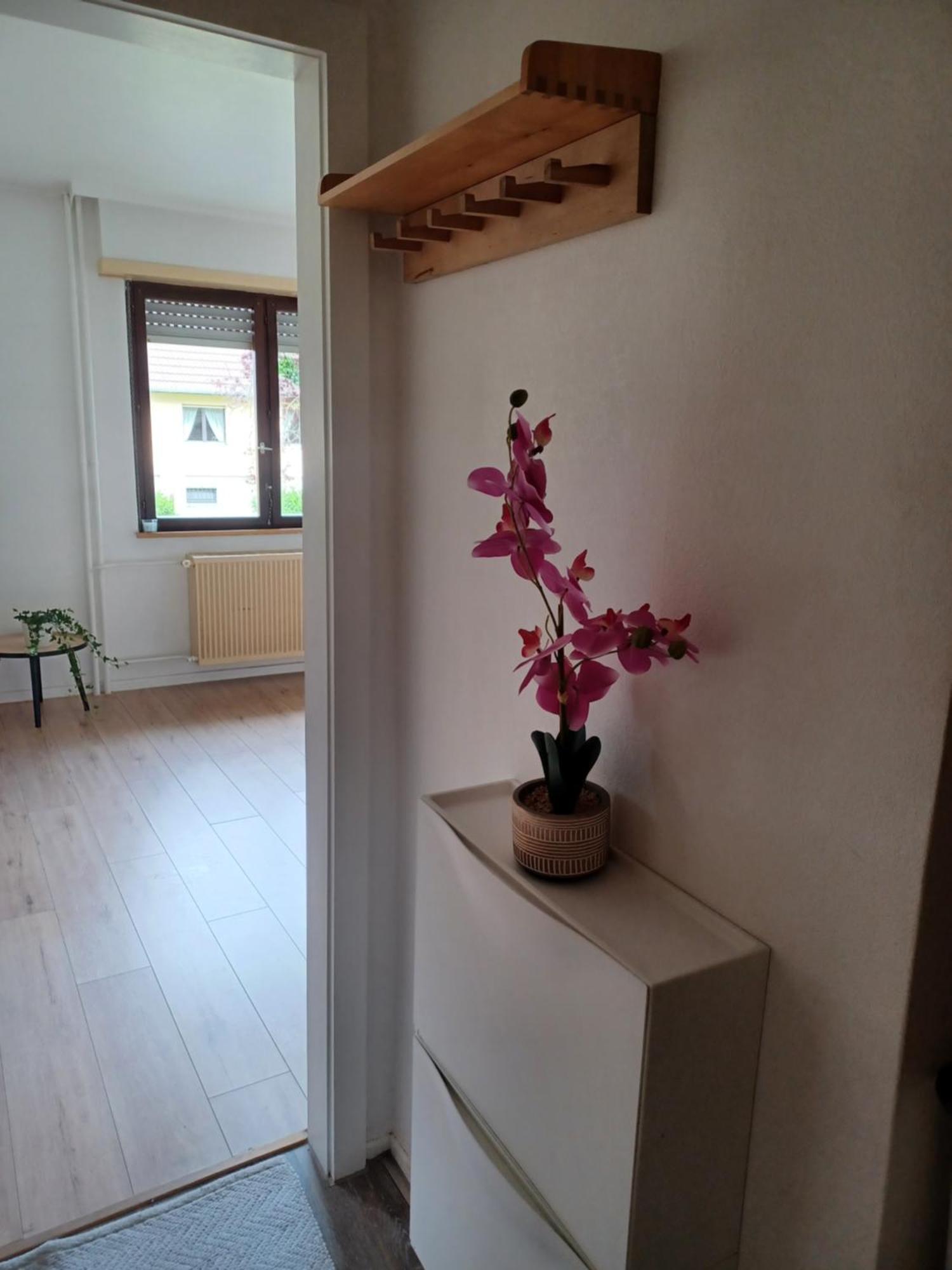 Apartamento Lumineux 1 pièce avec parking fermé et arrêt de tram à 100 m Mulhouse Exterior foto