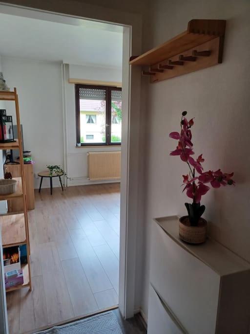 Apartamento Lumineux 1 pièce avec parking fermé et arrêt de tram à 100 m Mulhouse Exterior foto