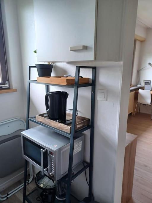 Apartamento Lumineux 1 pièce avec parking fermé et arrêt de tram à 100 m Mulhouse Exterior foto
