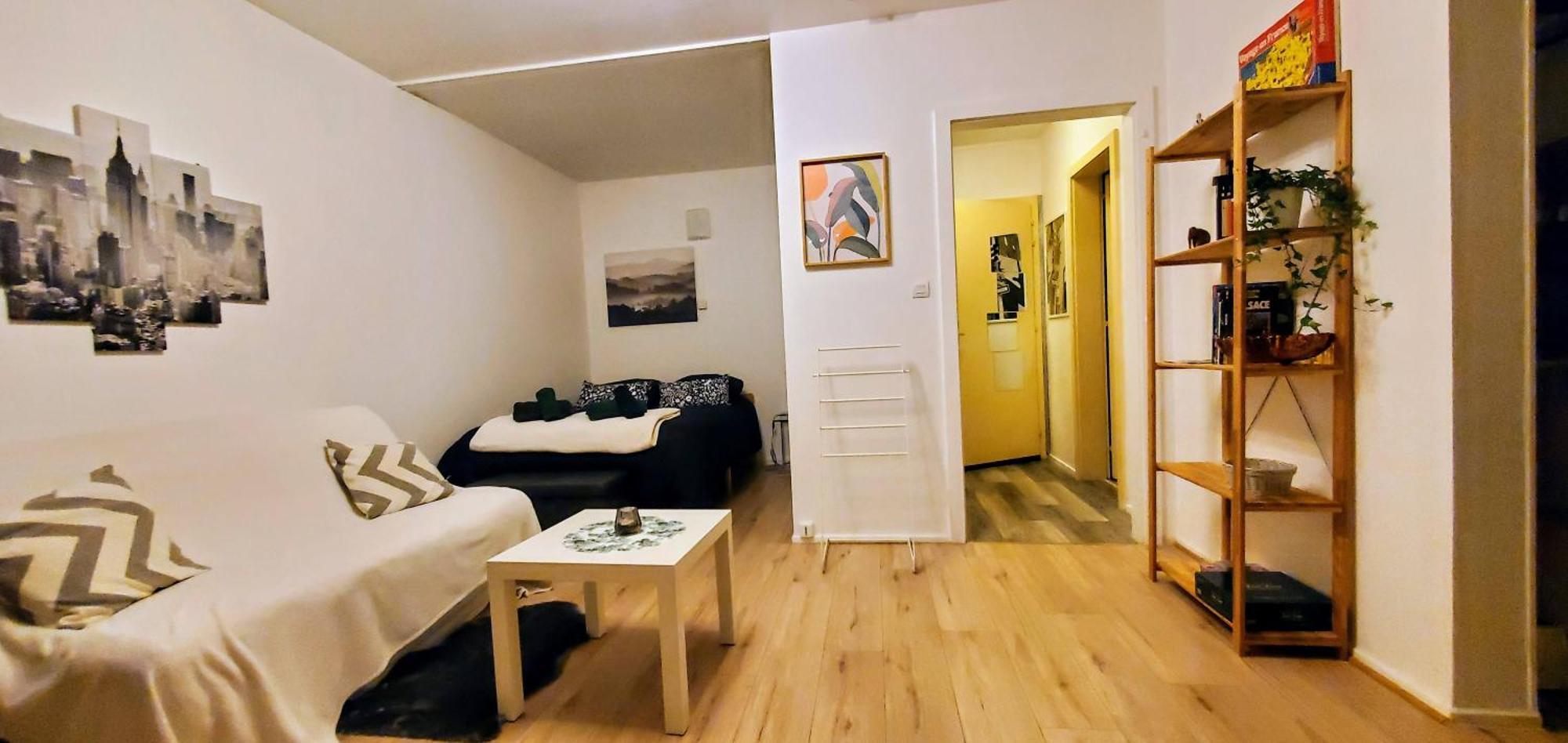 Apartamento Lumineux 1 pièce avec parking fermé et arrêt de tram à 100 m Mulhouse Exterior foto